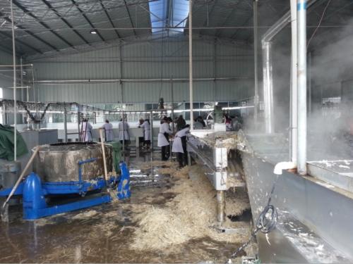 ���׈��O����������׈����w�O����ղ��