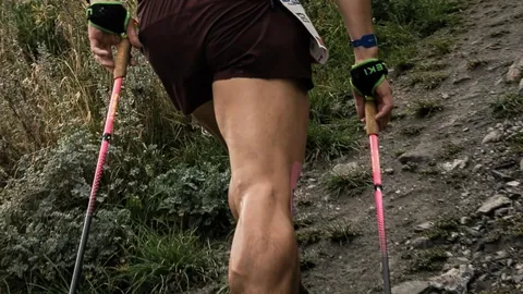 大马丁穿特里球衣的心路历程开云全站平台：球衣号码的变迁